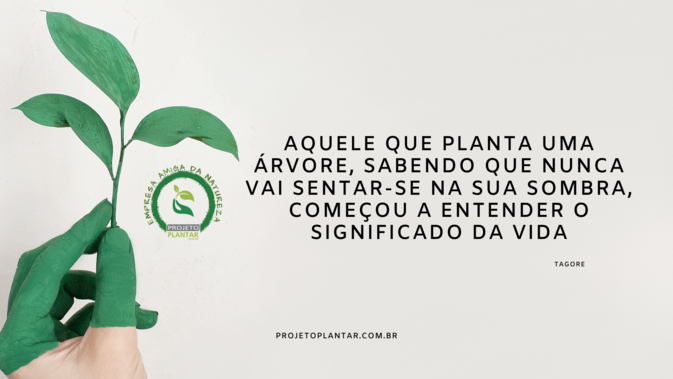 NPS-Services---Projeto-Plantar.png